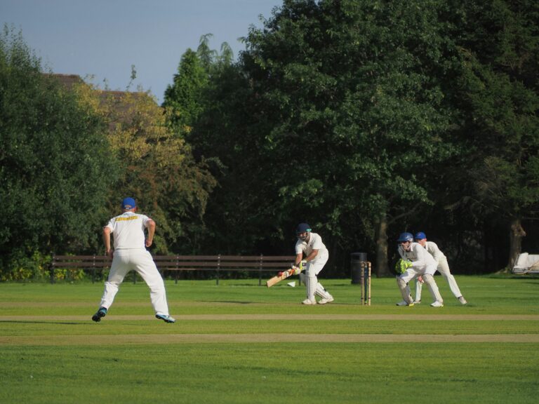 The Influence of Indian Cricket on Street Food Culture