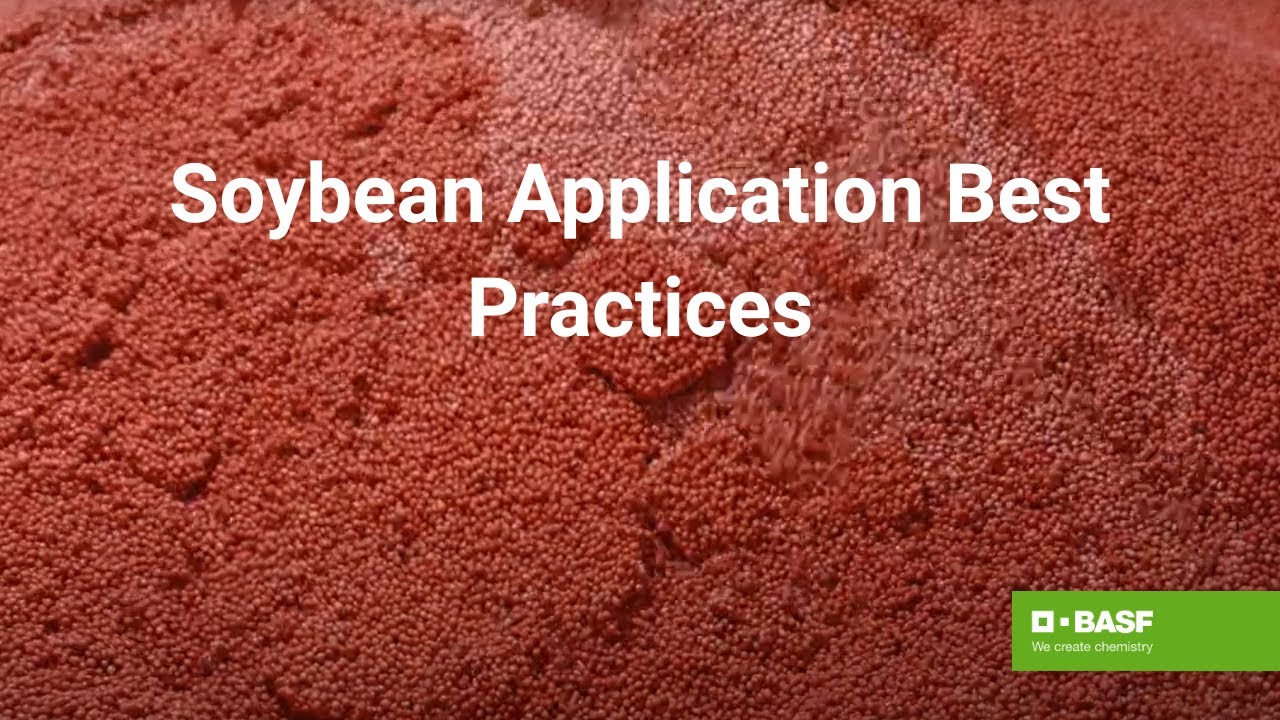 How to Laser 247 Sign Up: Complete Guide to Registration, Login, and Getting Started